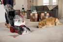 Hoover FH50259CDI Power Scrub Quick Dry Pet Carpet Cleaner (Refurbished)