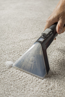 Hoover FH50259CDI Power Scrub Quick Dry Pet Carpet Cleaner (Refurbished)